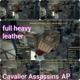 Cavalier Assasins AP