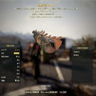 Road Kill