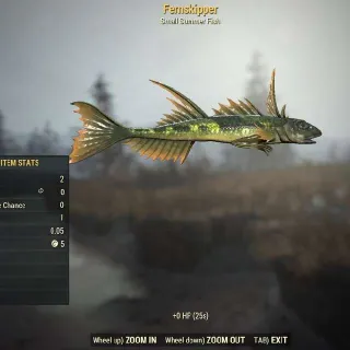 Fernskipper