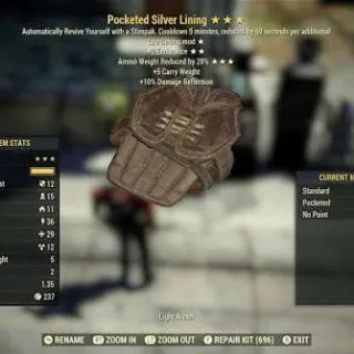 Pocketed Silver Lining