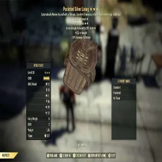 Pocketed Silver Lining