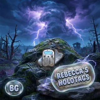 Rebecca's Holotags