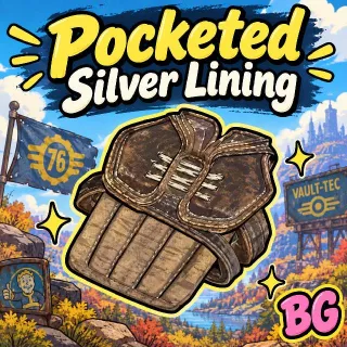 3 Pocketed Silver Lining