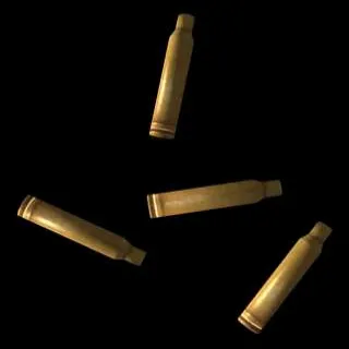 .44, 10mm, .308 Casing