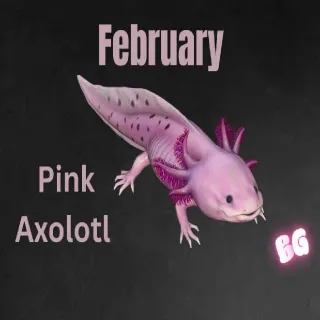 Pink Axolotl