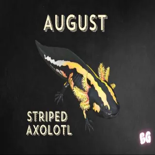 Striped Axolotl