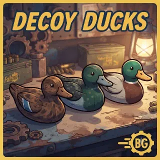 Plan | Decoy Ducks 🦆
