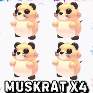 x4 muskrats
