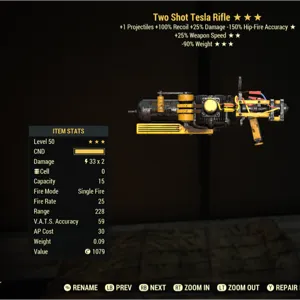 ts 25 90 Tesla rifle