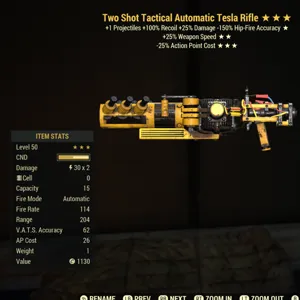 ts 25 25 Tesla rifle