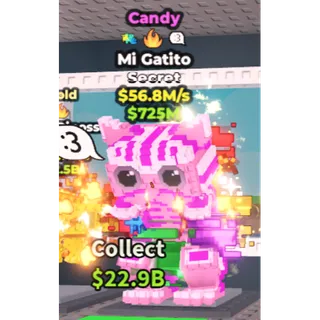 candy mi gatito 