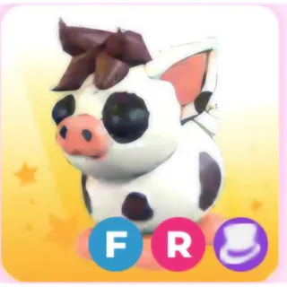 fr mini pig | cheap