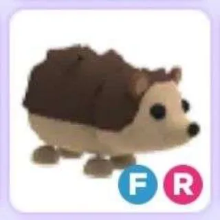 Fr Hedgehog | Cheapest