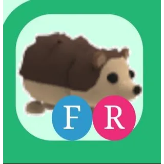 Fr Hedgehog | Cheapest