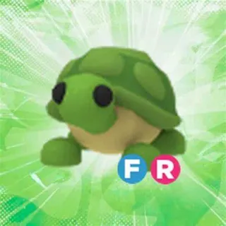 fr turtle