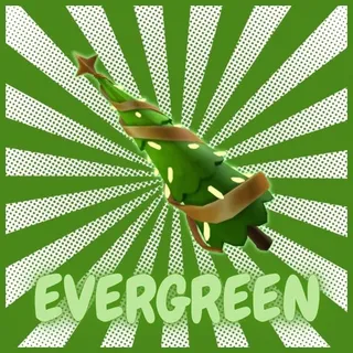 evergreen | cheapest