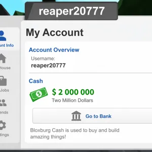 2mil cash  account