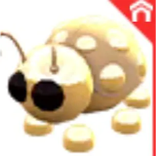 Golden ladybug adopt me
