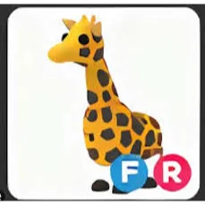 FR GIRAFFE