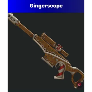 gingerscope mm2