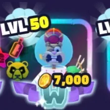 scottish cheeks bundle