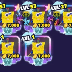 sponge boy bundle