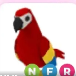 nfr parrot