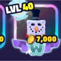 snow sponge bundle