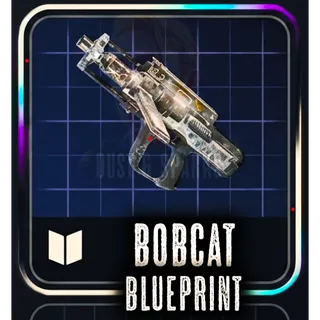BOBCAT BLUEPRINT