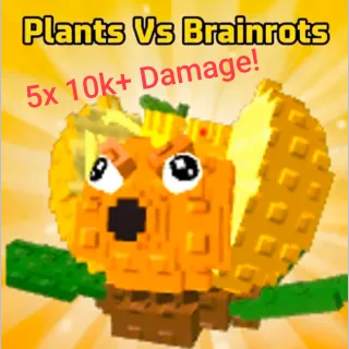 King LIMONE, ABOVE AVERAGE WEIGHT