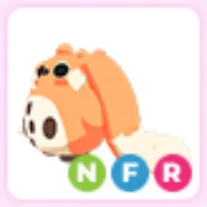 NFR CABBIT
