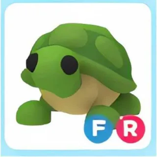 FR TURTLE
