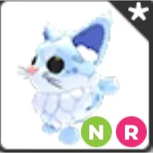 Neon Ride Maine Coon