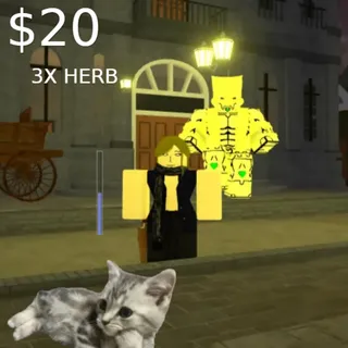 bridger: WESTERN I THE WORLD ACC 3X HERB 