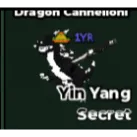 Yin yang 1yr Dragon Cannelloni | STEAL A BRAINROT | SAB