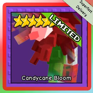 Candycane Bloom