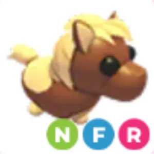 NFR dark brown shetland