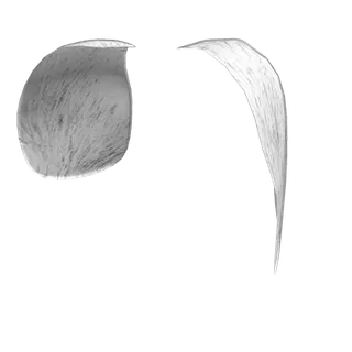White Dog Ears Accessory