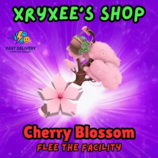 Cherry Blossom Set - ftf