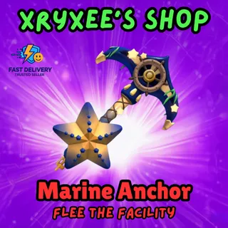 Marine anchor set - ftf