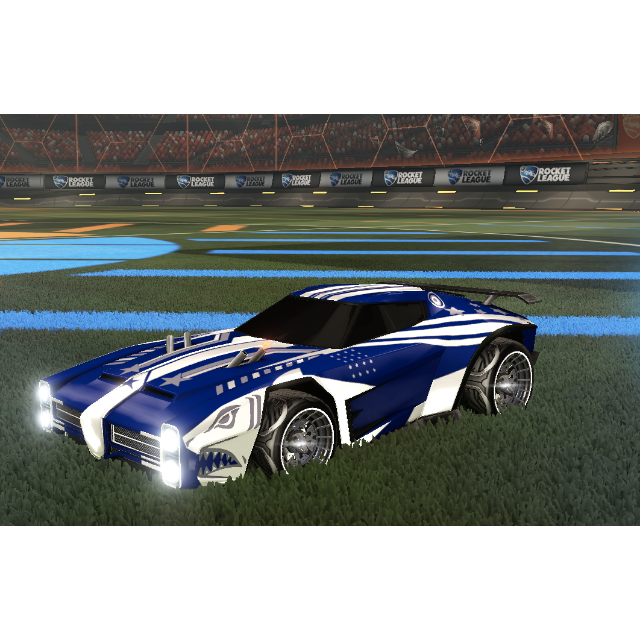 White Dominus