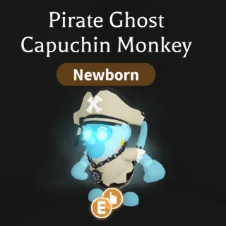 Pirate Ghost Capuchin Monkey