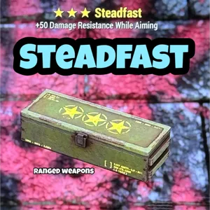 Steadfast Mod