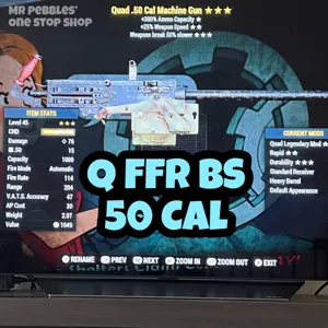 Weapon | Q FFR BS 50Cal 🌟🌟🌟