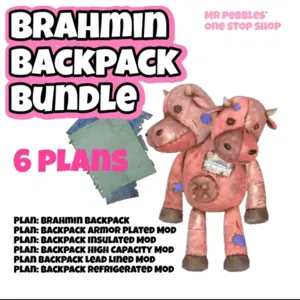 Brahmin Backpack