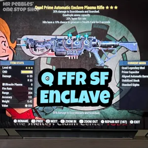 Weapon | Q FFR SF Enclave Rifle