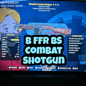 Weapon | B FFR Combat Shotgun