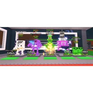 BUNDLE FOR BEGINNERS