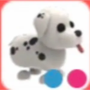 FR Dalmation