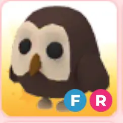 FR Owl